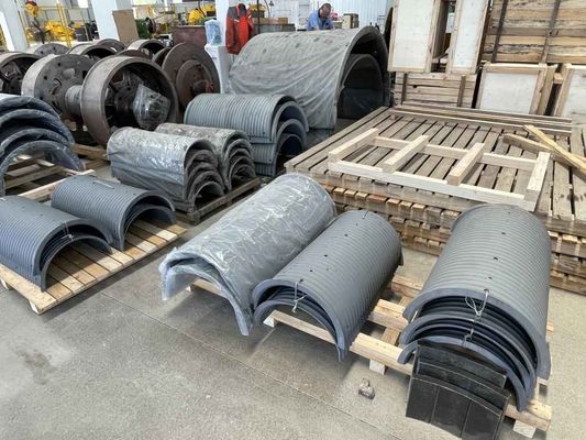 ความต้องการคาร์บอนหรือคูโซเมอร์ใน LBS แบ่ง